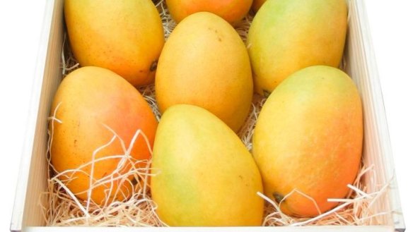 Last minute: Ripe and ready, mangoes make a great Christmas treat.