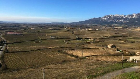 Vines country: Rioja Alavesa in winter is a region of greys and browns.