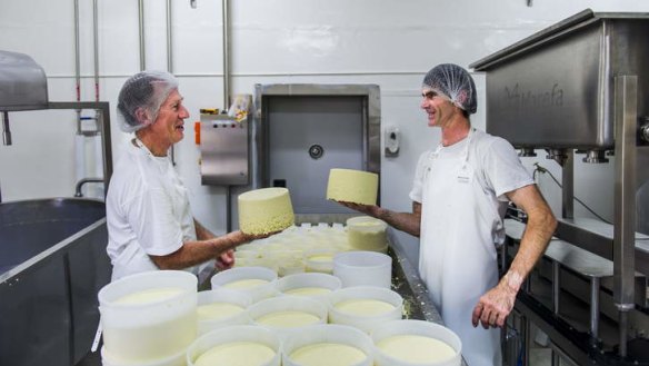 Geff Southam and Troy Charnock with Havarti Cheese in its final stages of production at the ABC Cheese factory in Tilba.