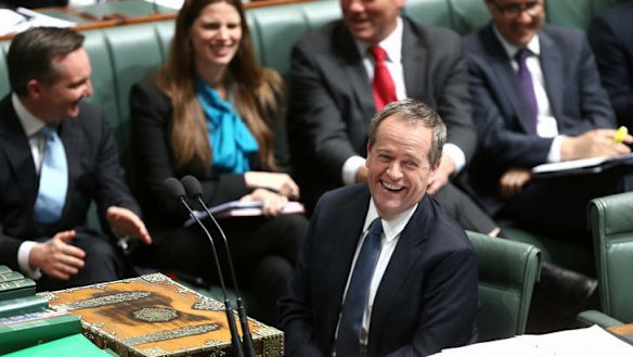 Opposition Leader Bill Shorten during question time on Thursday. Photo: Alex Ellinghausen