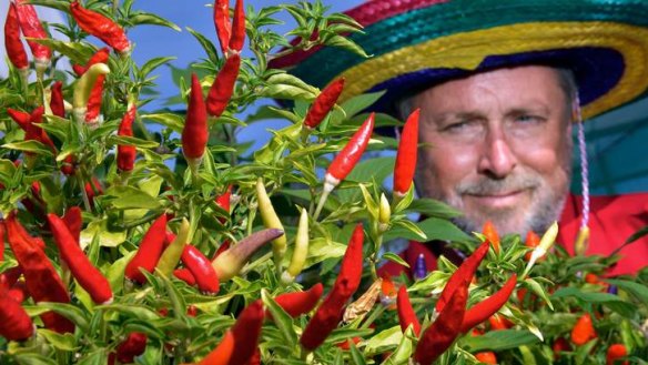 Clive Larkman grows chillies for his Yarra Valley produce company.