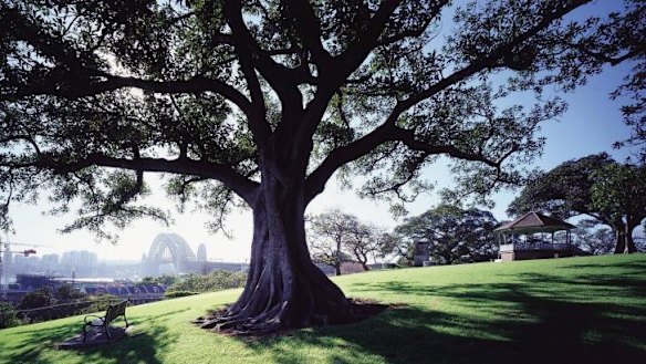 Pack a picnic and head to Observatory Hill, which overlooks the Harbour Bridge.