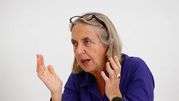 Senator Lee Rhiannon has criticised the plans.