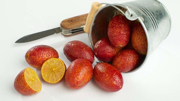 Burgundy beauty: Blood limes work well in chutneys and cordials.