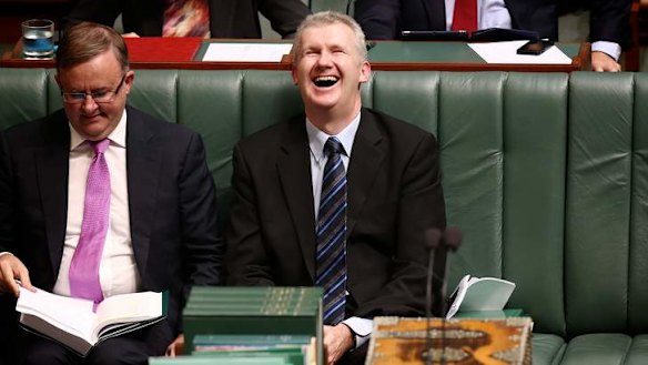 Manager of Opposition Business Tony Burke during Question Time. Photo: Alex Ellinghausen