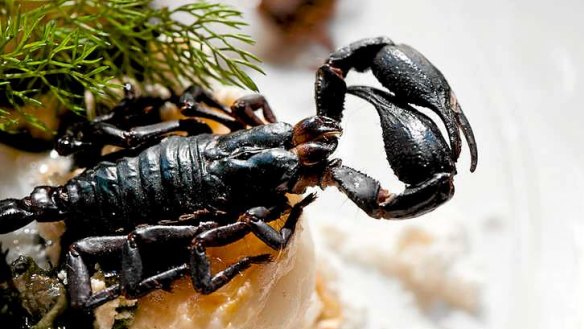 Public Bar and Restaurant will soon start serving wood-roasted scorpions with lobster snow, seaweed, pickled ginger foam and scampi.