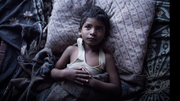 Lion has been downloaded illegally more than 350,000 times and is likely to have been streamed more than 1 million times, says Village Roadshow chief.