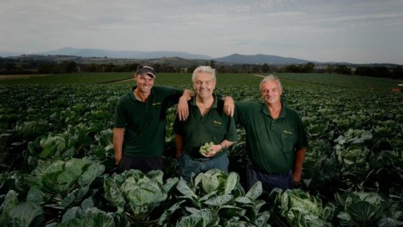 Three generations of the Adams family at their brussels sprout farm in Coldstream. Daniel (left), Ray, (centre) and Bruce (right).