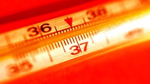 Temperatures on up to half of Vienna's U6 subway line reached 35 degrees.