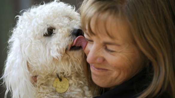 Photo inspiration: Fresh Look at Unhappy New Year S Eve As Spooked Dogs Flee Fireworks