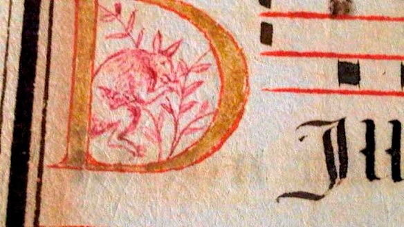 16th-century manuscript could rewrite Australian history