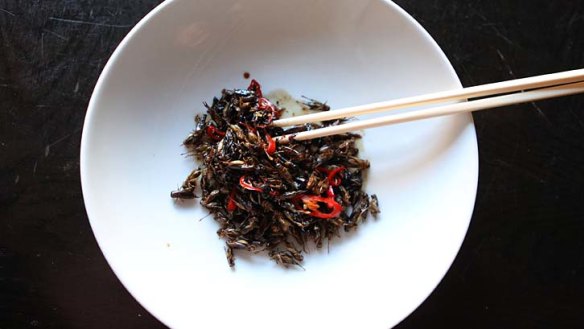 Tiny delicacies ...  crickets stir-fried with blackbean sauce and chilli.