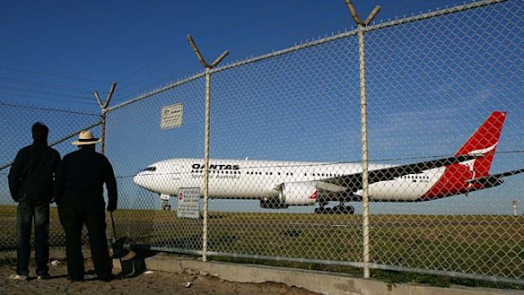 Stowaway rats force Qantas to ground jet