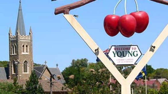 Eat, play, love it ... Young is host to all things cherry next month.