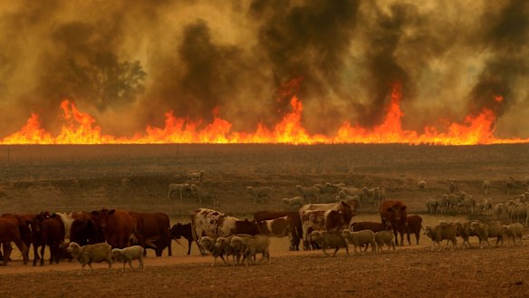 'Blast furnace': Warning over heat risk as Victoria braces for extreme ...