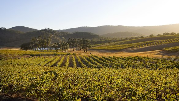 The Pyrenees Wine Region.