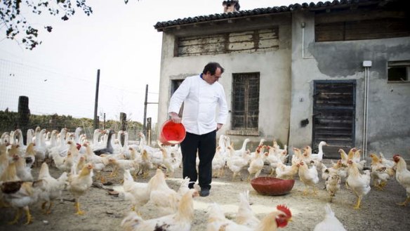 Italian chef and charcuterie master Massimo Spigaroli.