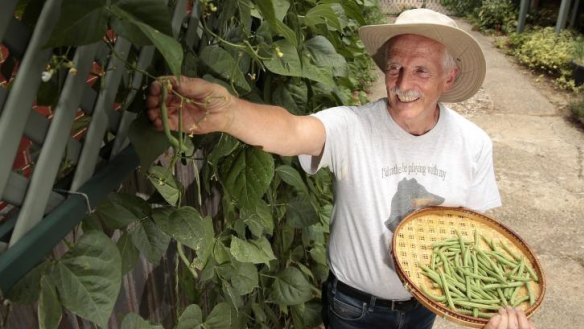 Beanfeast: Rob Cuttell with some of his harvest.