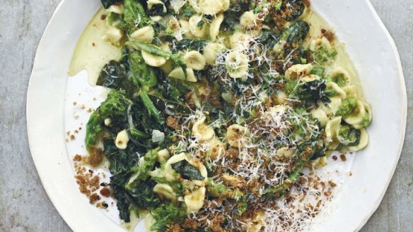Orecchiette, broccolini and chilli from <I>Bill's Italian Food</I>.