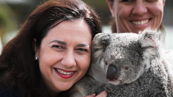 Premier Annastacia Palaszczuk spent the morning of her second-last day of campaigning cuddling a koala at Australia Zoo.