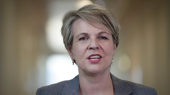 Deputy Opposition Leader Tanya Plibersek