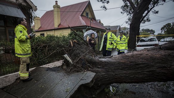 A tree has fallen on a house in Harrington Street, Stanmore