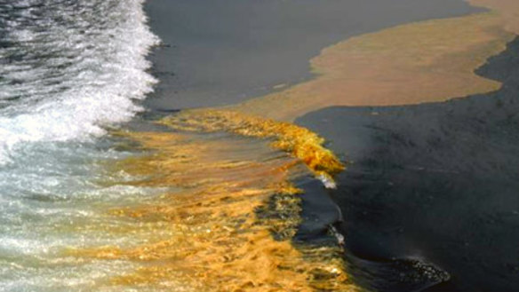 Oil from the spill moves closer to the shore.