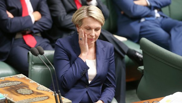 Acting Opposition Leader Tanya Plibersek listens to Special Minister of State Mal Brough in question time on Monday.
