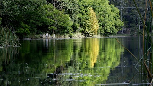 State support for national parks goes back almost 140 years to the creation of the Royal National Park in 1879, when it became only the second such park in the world.