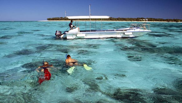 Snorkeling at Heron Island.