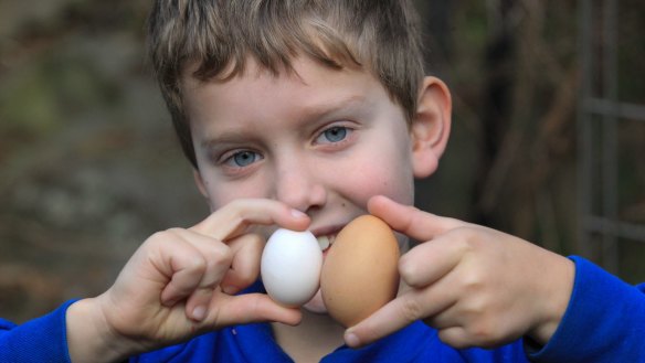 What it's all about: Eggs from backyard hens are a delight for children.