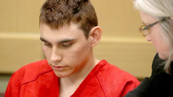 Nikolas Cruz, a former student of Marjory Stoneman Douglas High School, has been charged with 17 counts of murder.