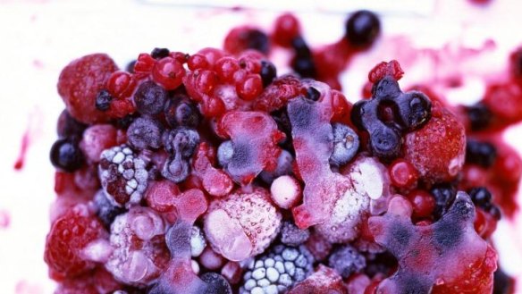 Patties Foods says its tests show no links between its berries and the hepatitis A outbreak.