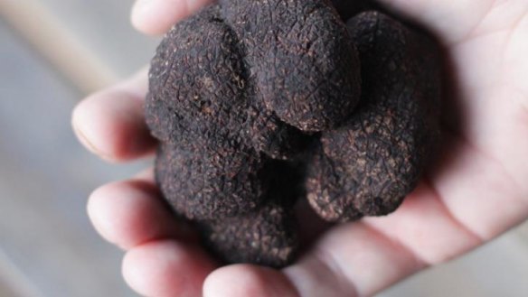 Truffles.