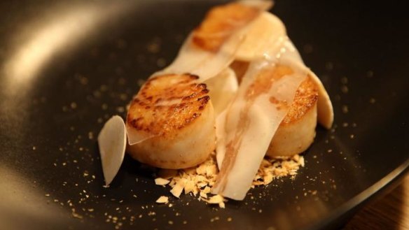 Scallops with hazelnuts, chamomile,  mushrooms and guanciale.