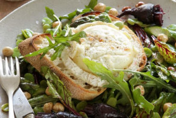 Spring salad: Grilled goat's cheese, roasted beetroot, hazelnuts and broad beans.