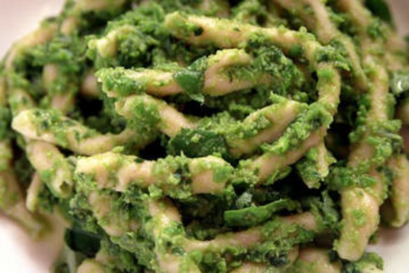 Maccheroni with pea pesto.