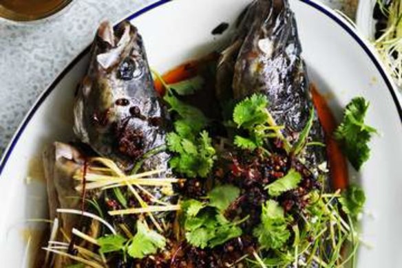 Steamed Murray cod with red chilli oil.