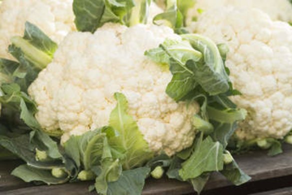 for gardening august 19 cauliflower