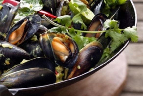 Mussels with green garlic, coriander, kaffir lime and coconut milk