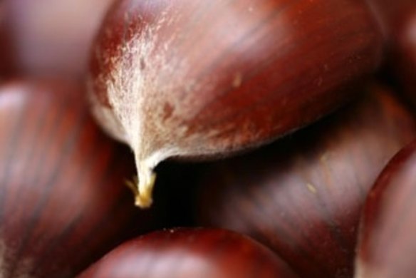 Chestnut and carrot soup