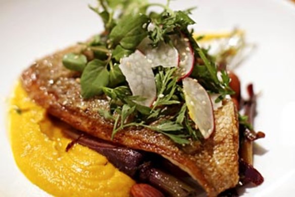 WEEKEND DINING: The Corner House, Bondi. Grilled Market fish of the day with roasted heirloom carrot salad, toasted almonds and carrot puree. Photo by Brianne Makin.BRI_5711.JPG