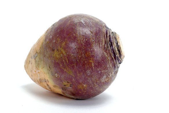 Swede or rutabaga.