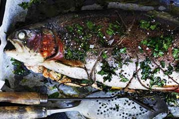 Whole baked ocean trout.