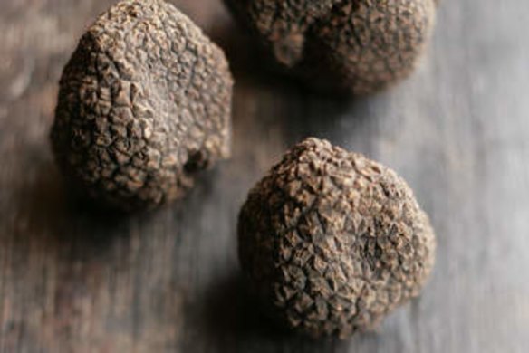 Cooking with fresh truffles.