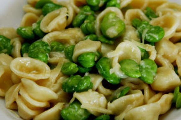 Orecchiette with broad beans, butter and parmesan.