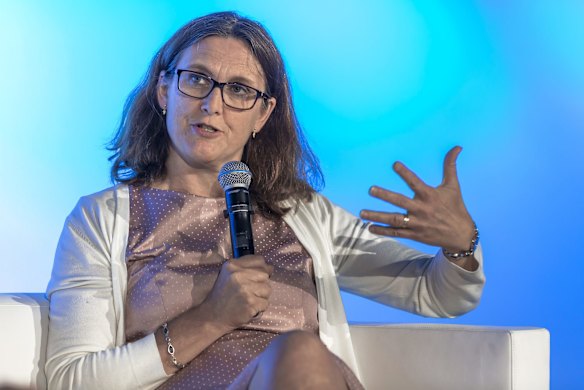 Cecilia Malmstrom, European Union trade commissioner.