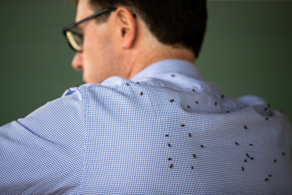 Flies cover Agriculture Minister David Littleproud during his visit to outback Queensland.