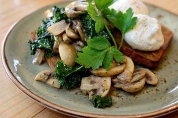 Mushroom ragu with kale and poached eggs.