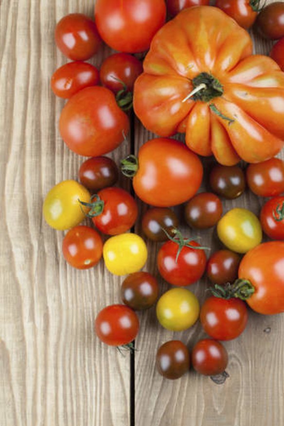 To have the tastiest tomato, daytime temperatures between 24 and 27 degrees are ideal.